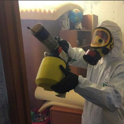 Уничтожение клопов в квартире. Павелецкая